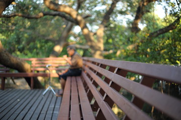 Naklejka premium Oldster seat and Mangrove in Rayong at Thailand ,(people blur)