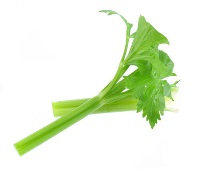 Green fresh celery. Stick isolated on white.