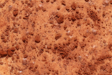 cocoa powder and milk texture background #2
