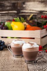 Homemade cinnamon and spice hot cocoa with whipped cream