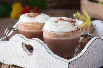 Homemade cinnamon and spice hot cocoa with whipped cream