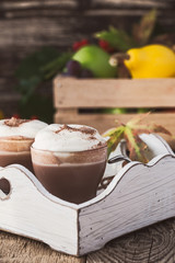 Homemade cinnamon and spice hot cocoa with whipped cream