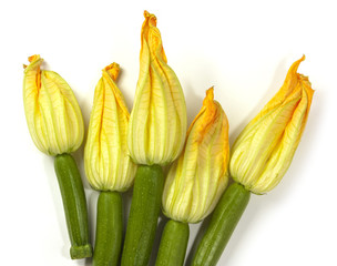 Zucchini flowers, shot from above on white background