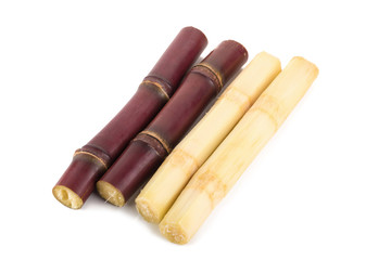 Sugar cane on white background.