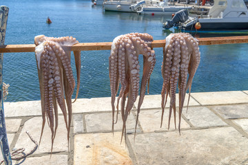 Traditional greek sea food, octopus, drying in the sun. Naxos is - 122925154