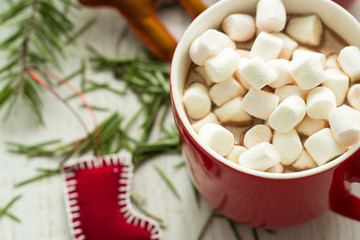 Obraz na płótnie Canvas cocoa with marshmallows
