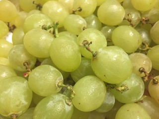 Cluster of white grapes