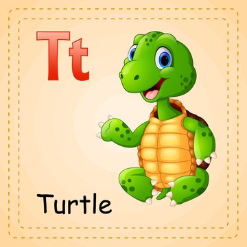 Animals alphabet: T is for Turtle
