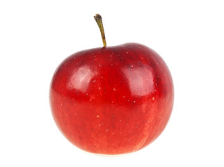 Fresh red apple on a white background