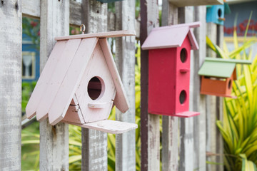 group of colorful wooden style birdhouse in garden