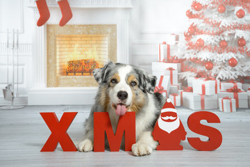 Ein Hund liegt in einem weihnachtlichen Wohnzimmer mit Kamin und Geschenken und den Buchstaben „X...