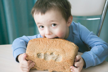 Boy bites bread. Cheeked little boy chewing on bread with a mischievous kind