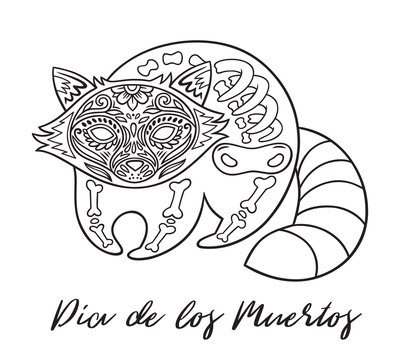 Raccoon sugar Mexican skulls. Vector illustration