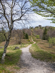 Elsass, Weg zum Tempel Donon