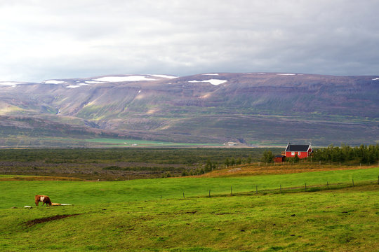 Farm Near Husavik In Northern Iceland