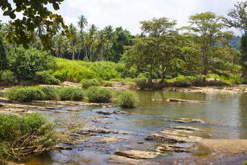 sri lanka landscape