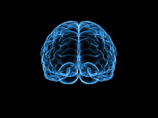 X-ray human brain, 3d illustration