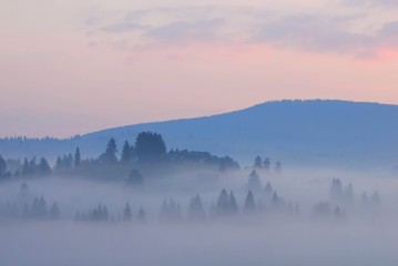 Obraz na płótnie Canvas Misty morning in the Ukrainian Carpathians