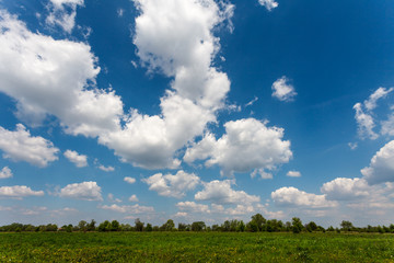Blue cloudy sky over green meadow, Poland