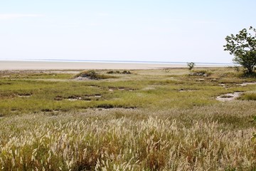 View of the Etosha pan inEtosha National Park in Namibia, Africa