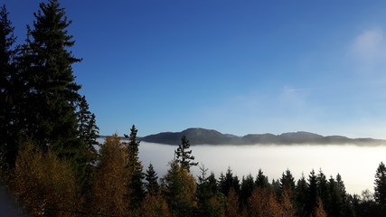 Beautiful fall morning in Namsos, Norway.