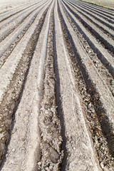 Plowed field