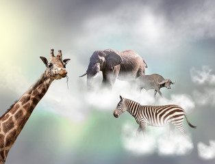 The giraffe, elephant, zebra above white clouds in gray sky