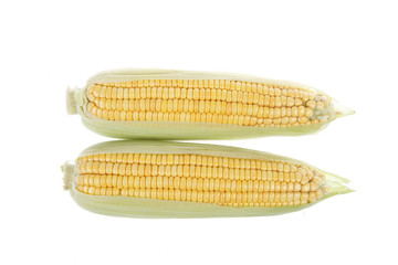 The close-up of corn, white background