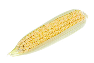 The close-up of corn, white background