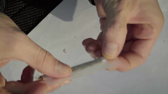 Man Rolling  Marijuana Cannabis Joint