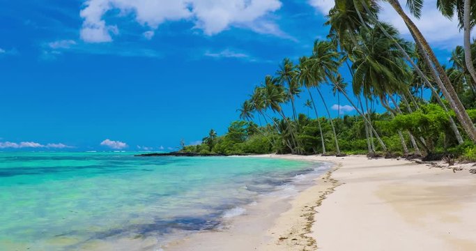 Tropical beach on Samoa Island with palm trees.