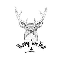 Christmas card with deer. Merry Christmas lettering design. Vector illustration