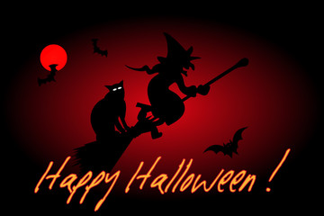 witch, hag, harridan,