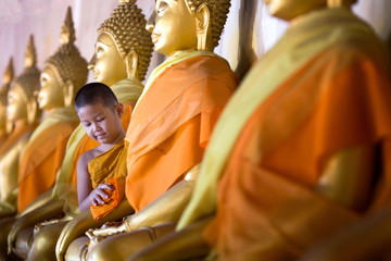 Novice munk cleaning golden Buddha with love and faith