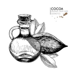 Vector set hair care ingredients. Organic hand drawn elements. Cocoa bean, bottle of oil. leaves.
