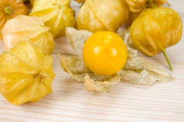 Physalis - Andenbeere - Kapstachelbeere 