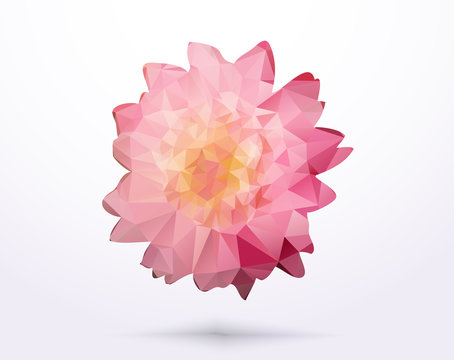 Geometric triangle low poly flower, isolated on white background. Vector illustration.