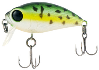 Fishing bait on white