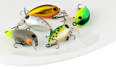 Fishing baits on plate