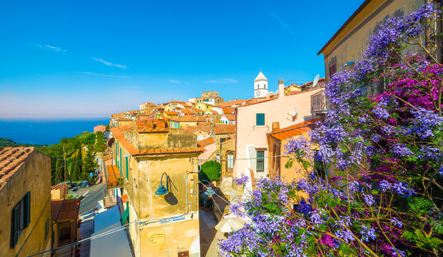 Fototapeta Panoramic view over Capoliveri village in Elba island, Tuscany, Italy, Europe.