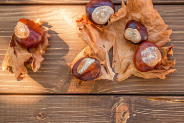 Chestnuts