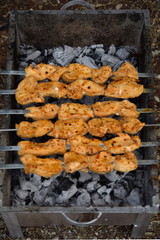 Iranian Barbecue Delights