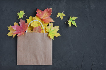 Colorful autumn leaves in a brown craft bag