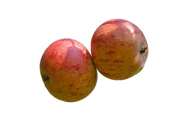Äpfel 