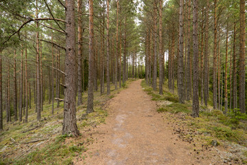 Fototapeta na wymiar Landschaft am Vättern See in Schweden