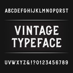 Vintage alphabet font. Distressed letters, numbers and symbols. Retro vector typography for your design.