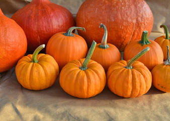 Group of pumpkins