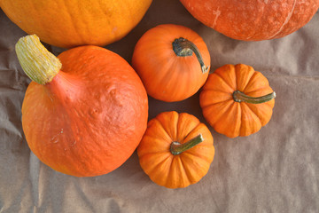 Orange pumpkins on paper background
