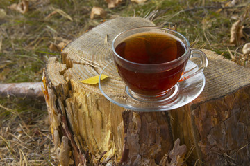 cup of hot tea on the stump at autumn weather