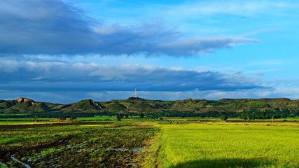 Road in the Philippines with nature